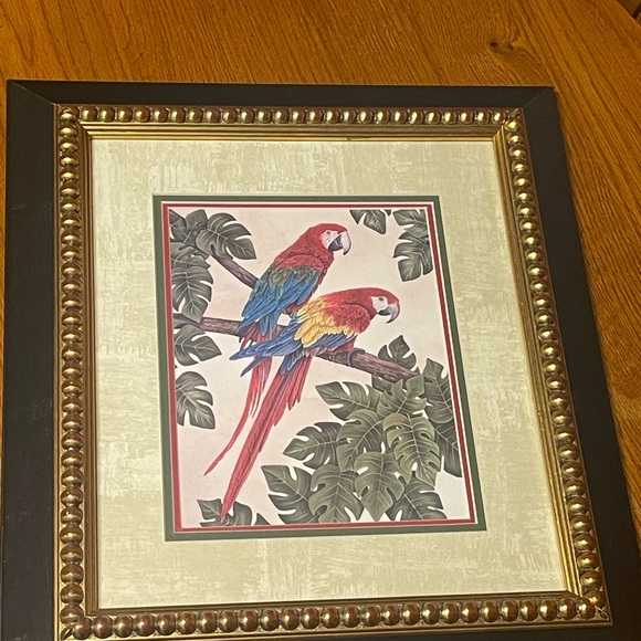 Parrot Artwork - Picture 3 of 8